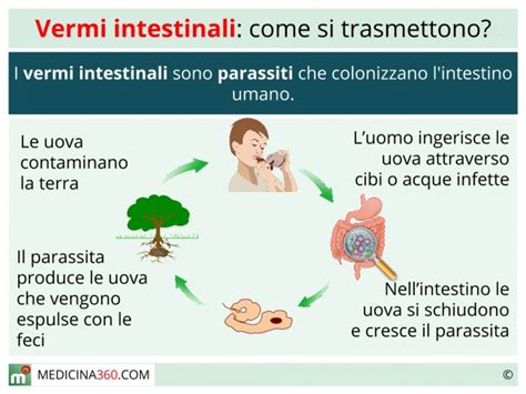 vermi intestinali malattie.